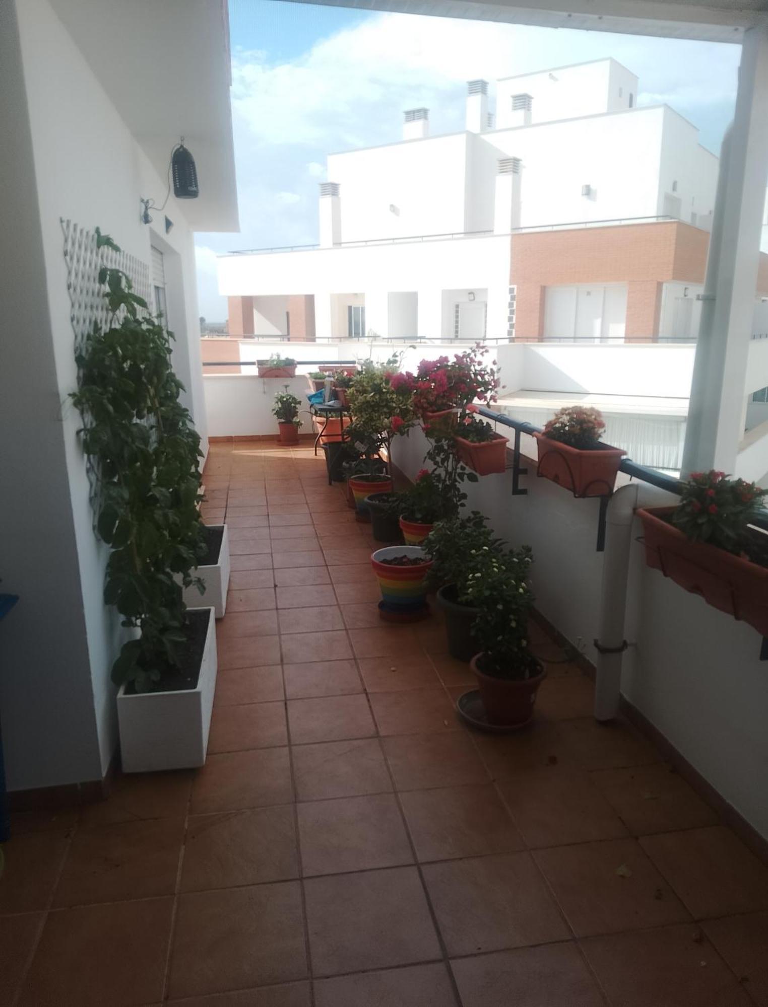 Golf, Piscina,Playa Apartment Roquetas de Mar Bagian luar foto